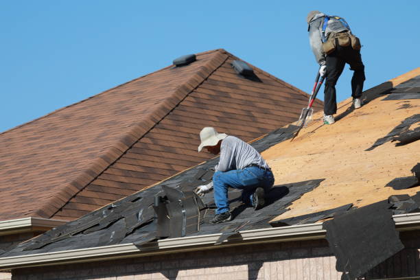 Best Roof Waterproofing  in USA